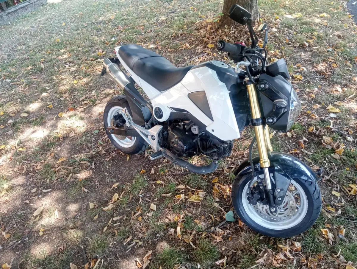 Honda MSX 125 (2013 - 15) (3)