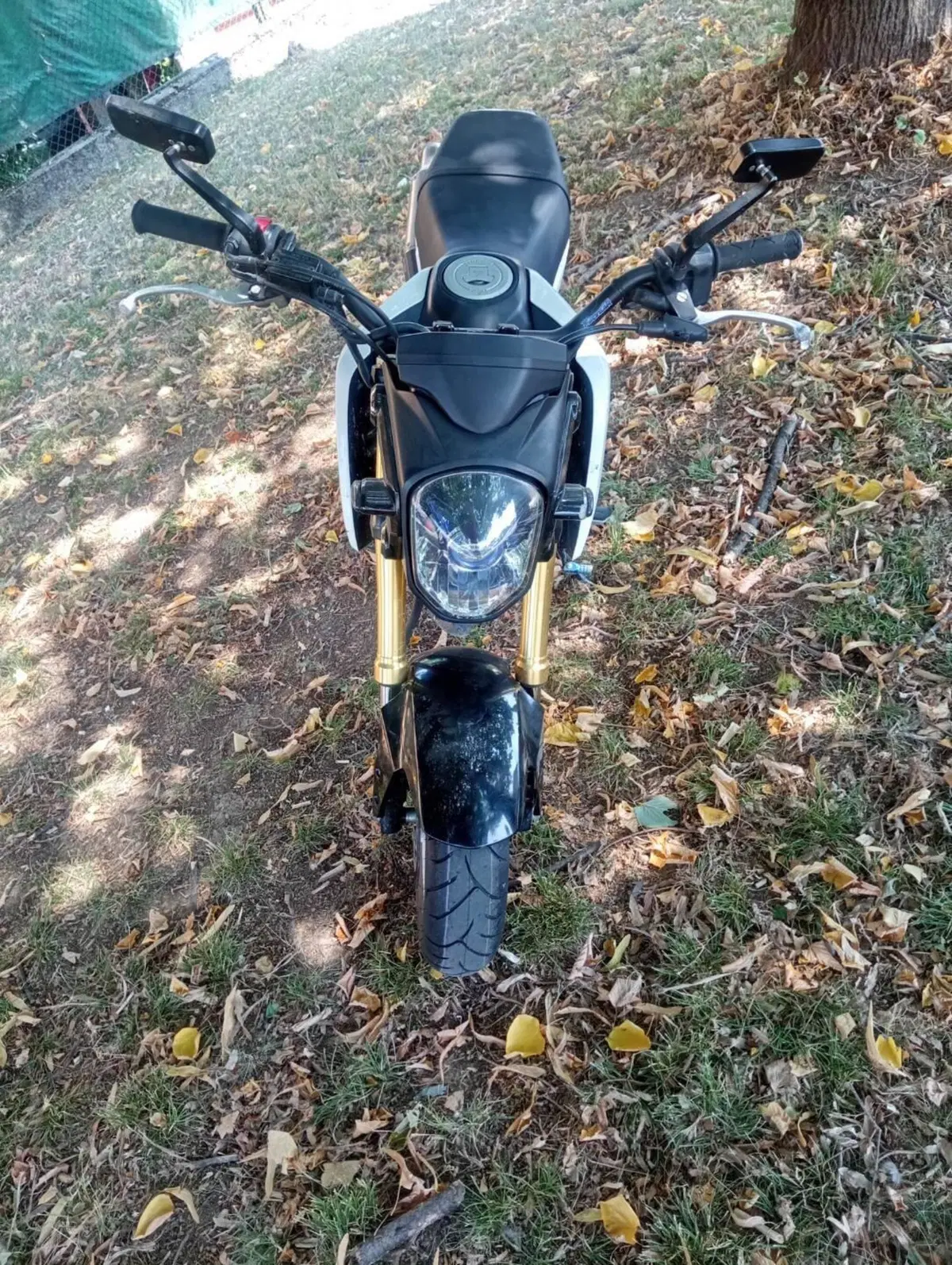 Honda MSX 125 (2013 - 15) (4)
