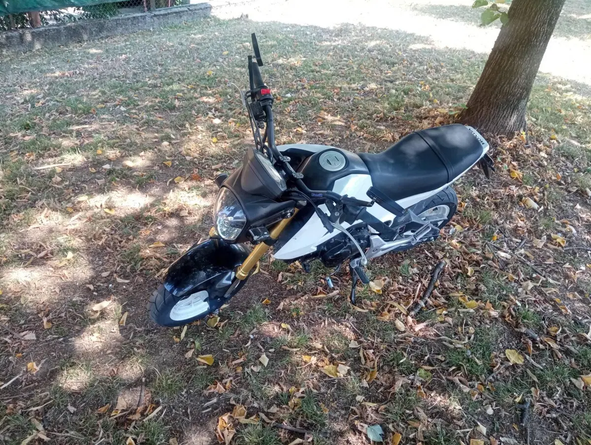Honda MSX 125 (2013 - 15) (5)