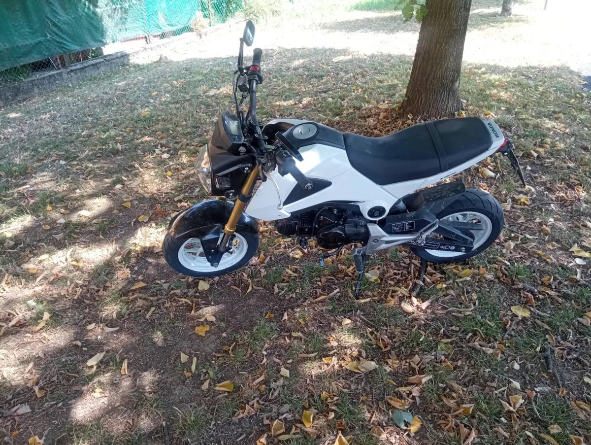 Honda MSX 125 (2013 - 15) (6)
