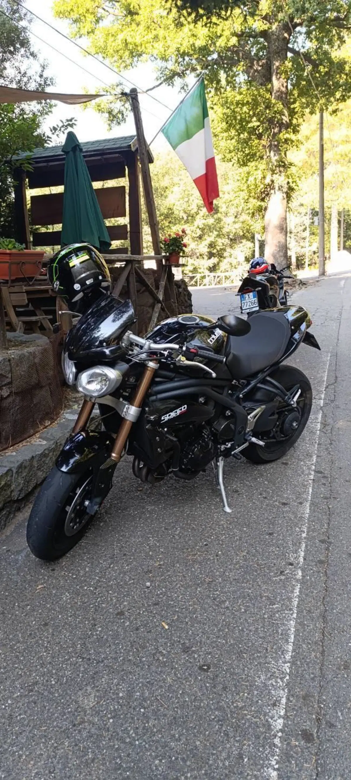 Triumph Speed Triple 1050 (2011 - 13) (3)