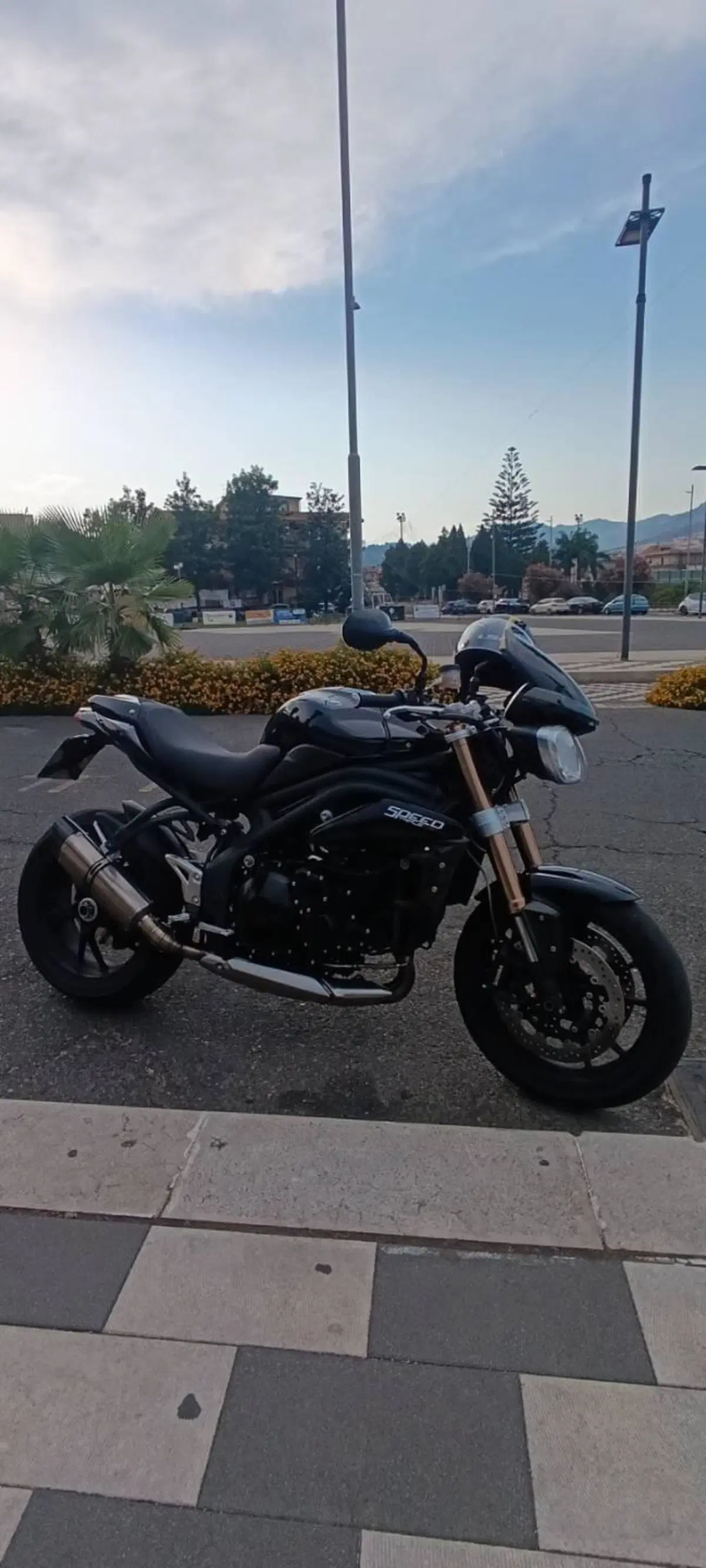 Triumph Speed Triple 1050 (2011 - 13) (7)