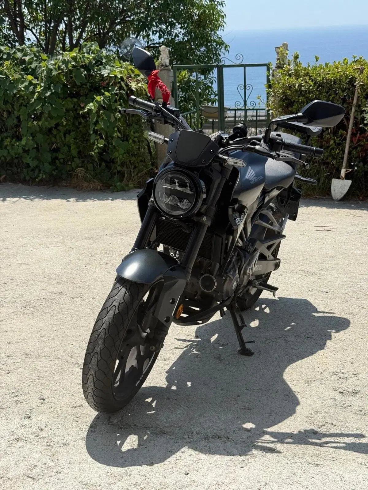 Honda CB 300 R (2022 - 26) (2)