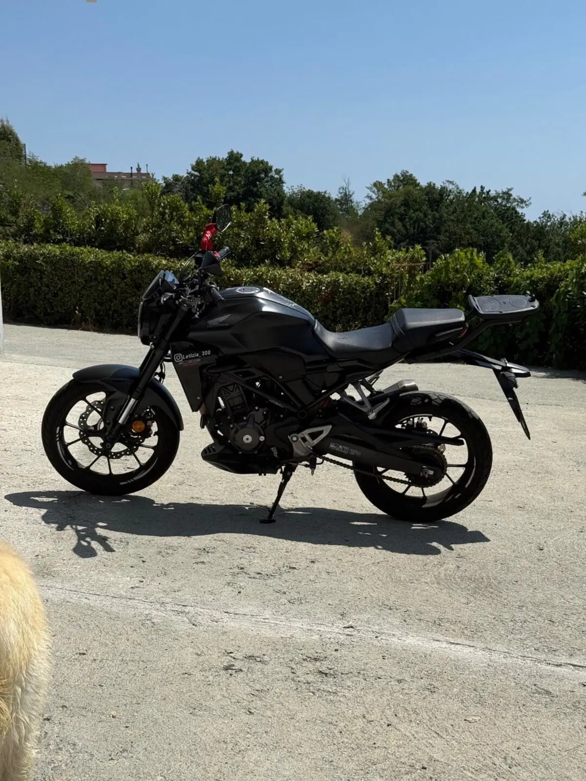 Honda CB 300 R (2022 - 26) (3)