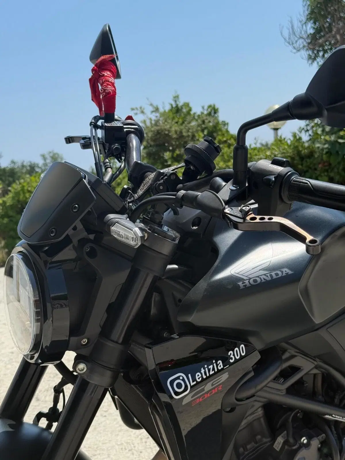 Honda CB 300 R (2022 - 26) (4)