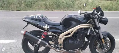 Triumph Speed Triple 955 (1998 - 01) usata