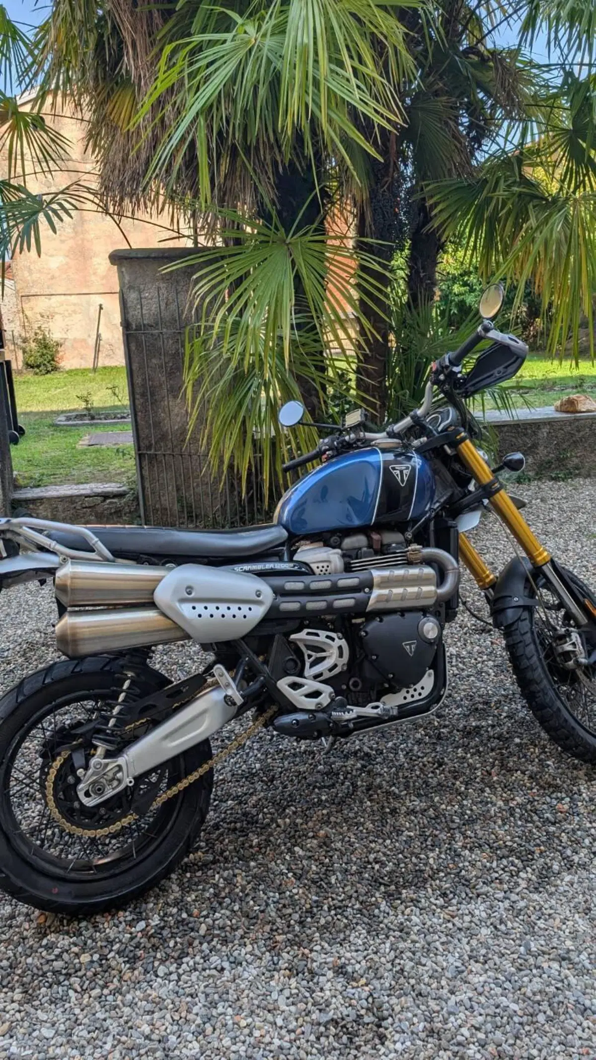 Triumph Scrambler 1200 XE (2019 - 20) (2)