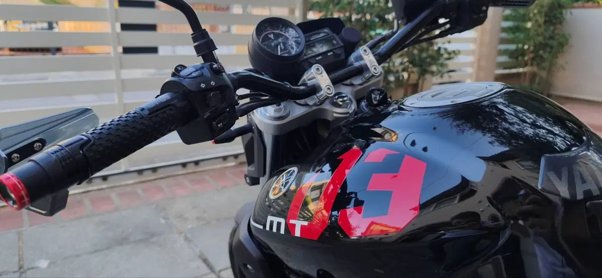 Yamaha MT-03 (2006 - 14) (4)