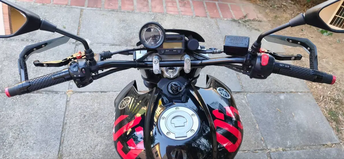 Yamaha MT-03 (2006 - 14) (11)