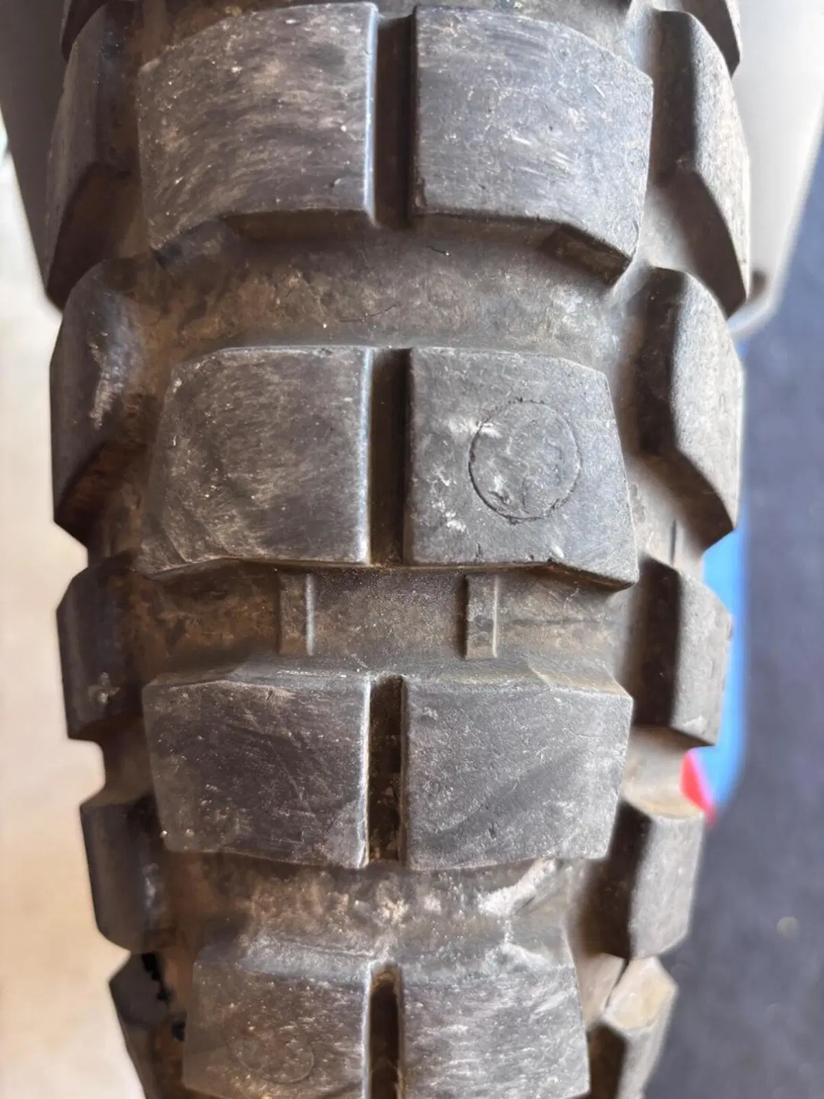 Bmw R 1300 GS Adventure Trophy (2025 - 26) (11)
