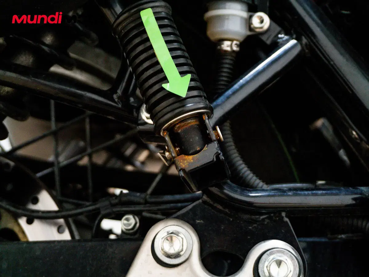 Benelli Imperiale 400 (2019 - 20) (18)