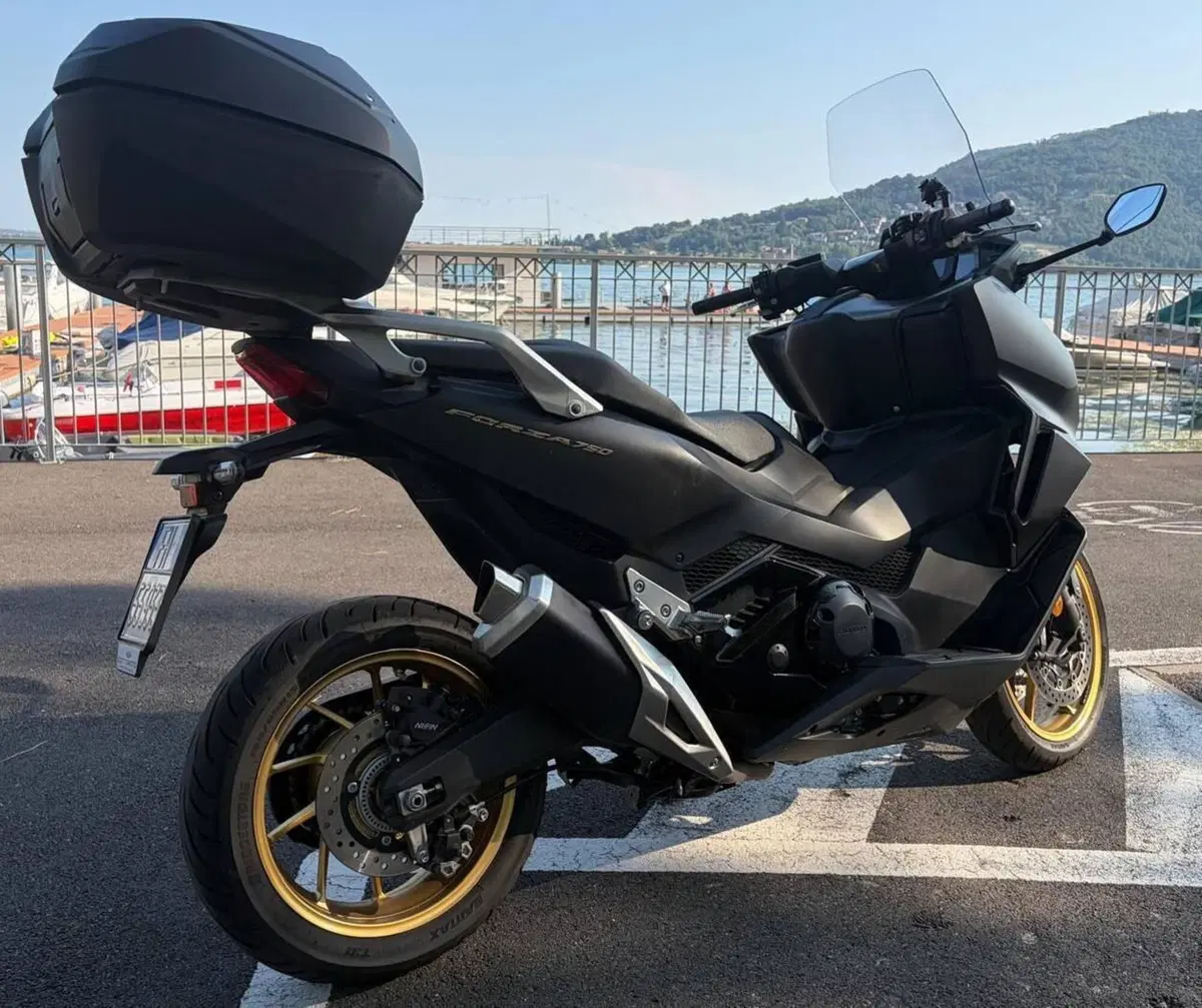 Honda Forza 750 DCT Special Edition (2024) (3)