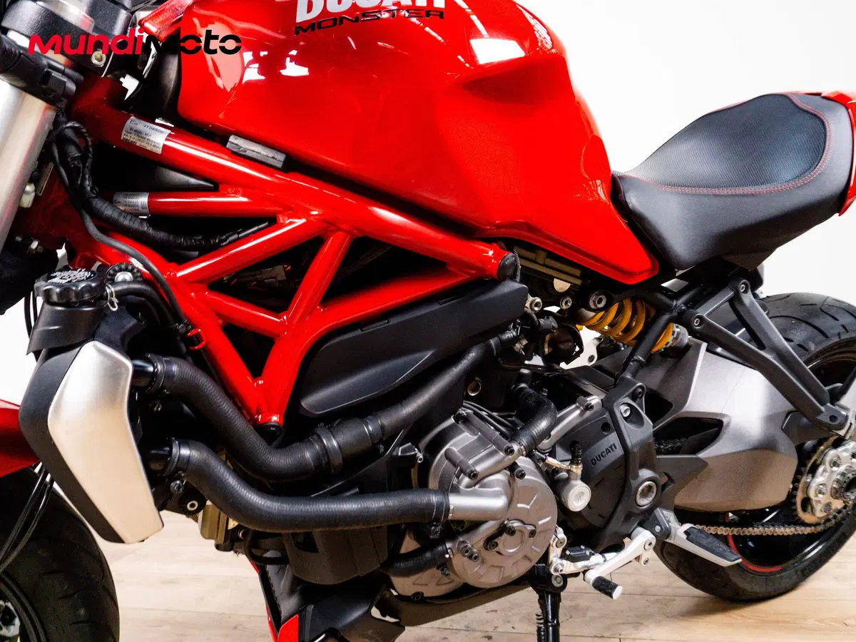 Ducati Monster 1200 (2014 - 16) (9)