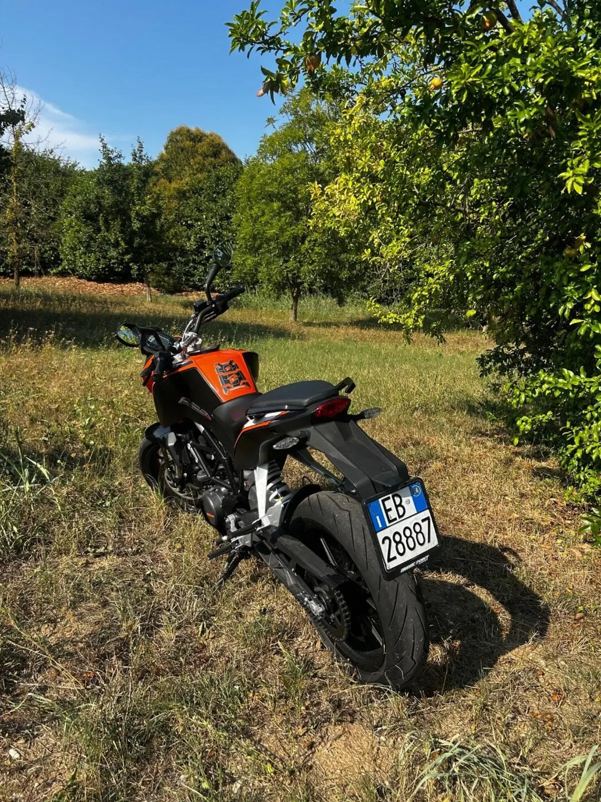 KTM 125 Duke ABS (2013 - 16) (4)