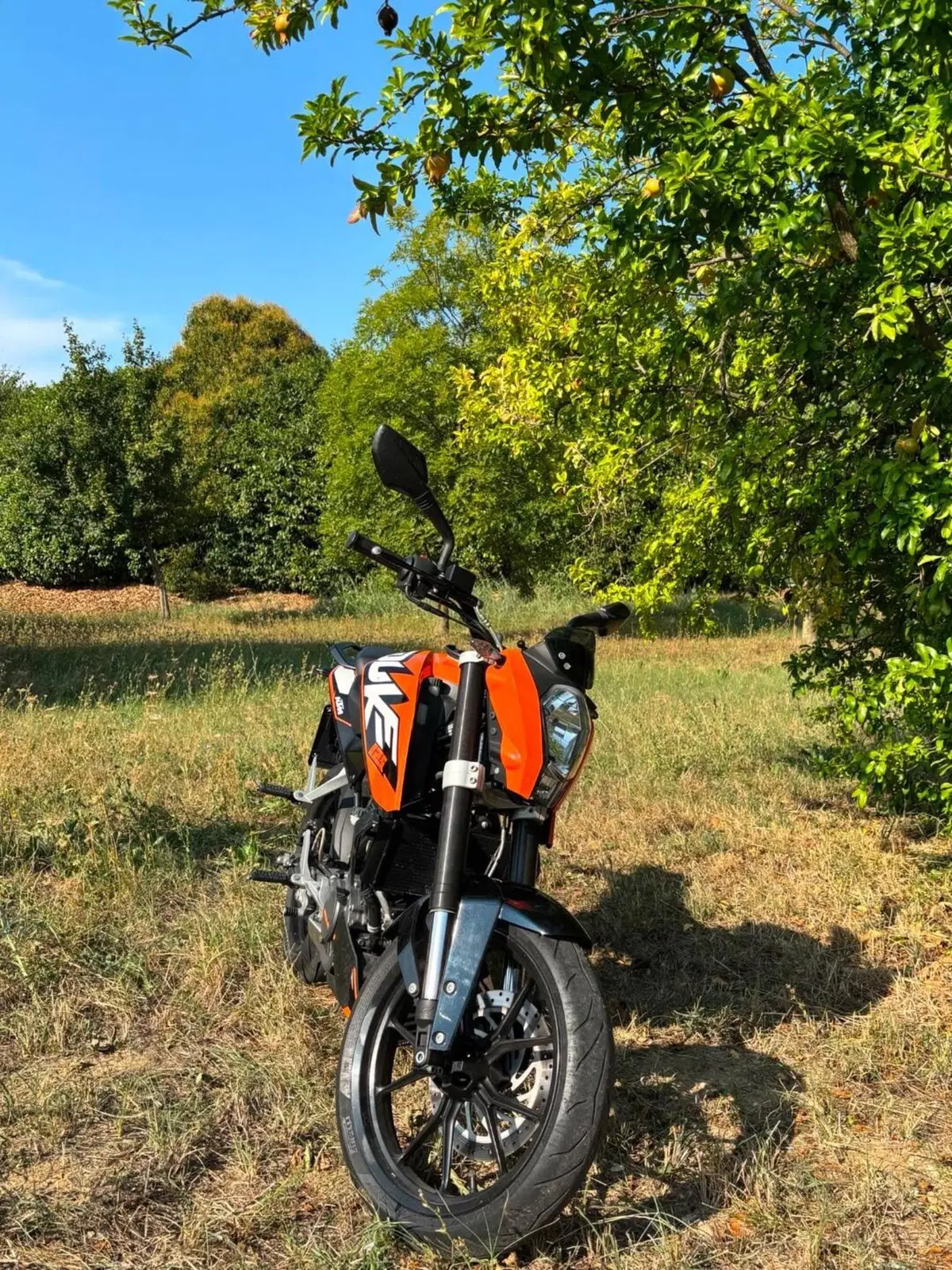 KTM 125 Duke ABS (2013 - 16) (10)