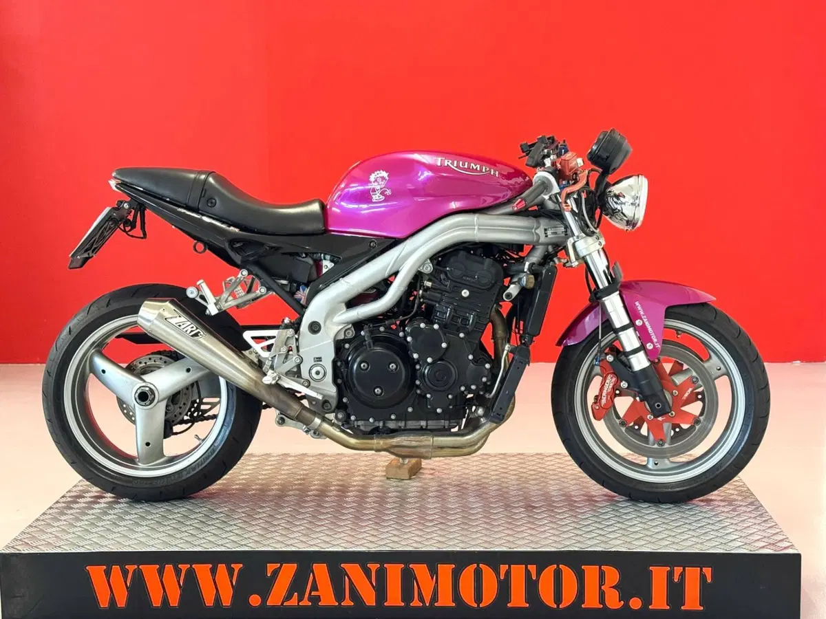 Triumph Speed Triple 955 (2002 - 04)