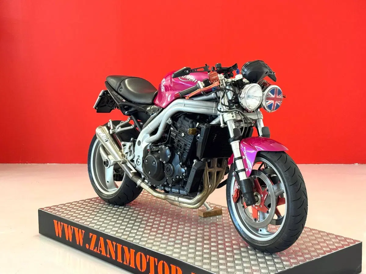 Triumph Speed Triple 955 (2002 - 04) (2)