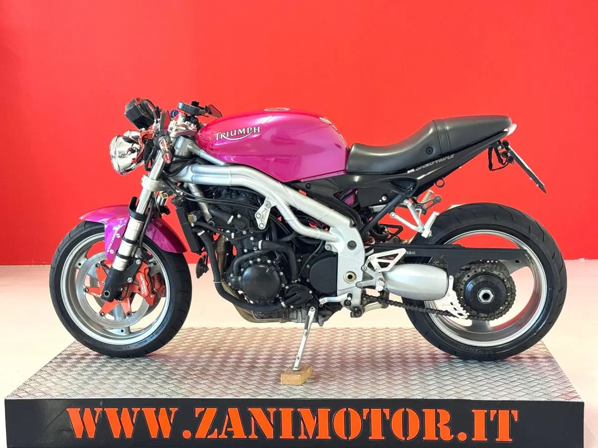 Triumph Speed Triple 955 (2002 - 04) (5)
