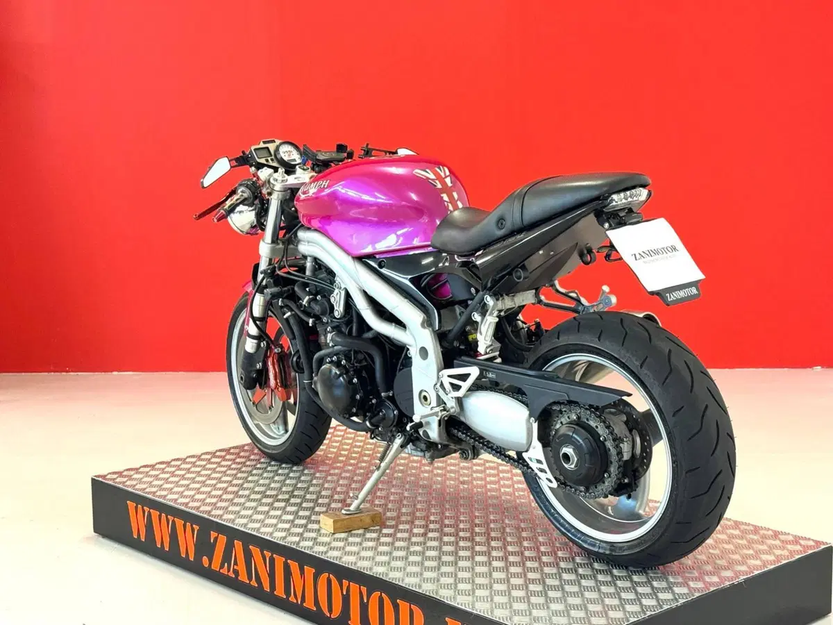 Triumph Speed Triple 955 (2002 - 04) (6)
