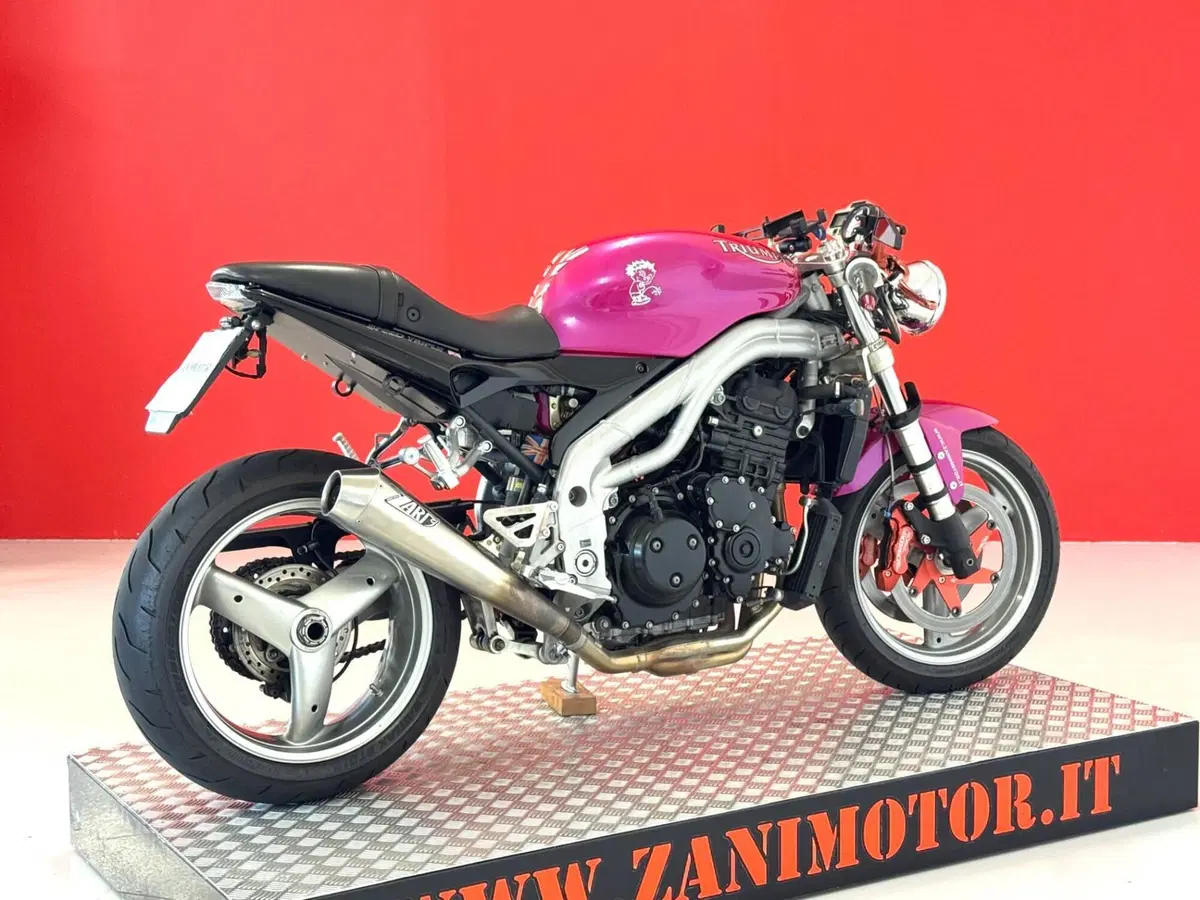 Triumph Speed Triple 955 (2002 - 04) (8)