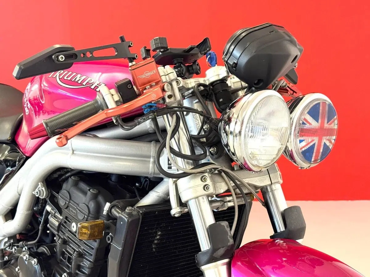 Triumph Speed Triple 955 (2002 - 04) (9)