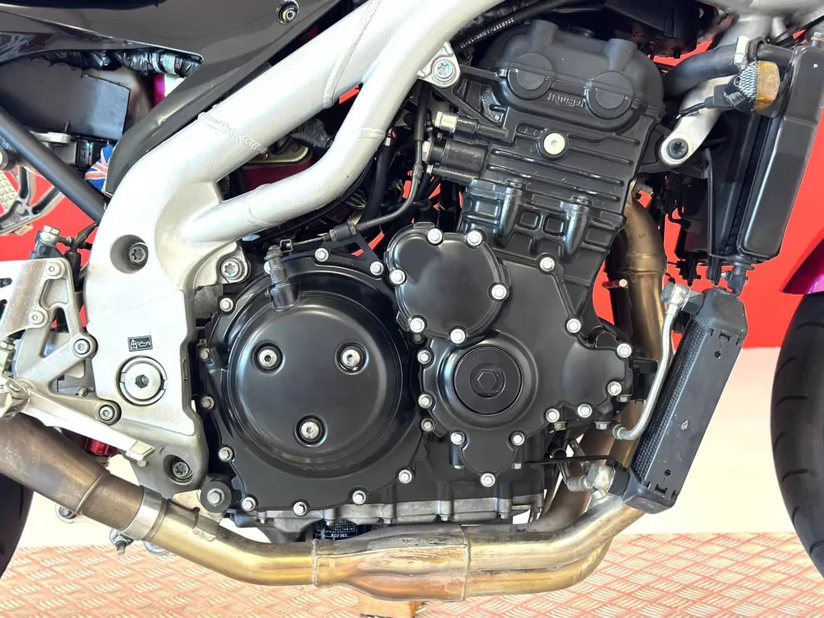 Triumph Speed Triple 955 (2002 - 04) (10)