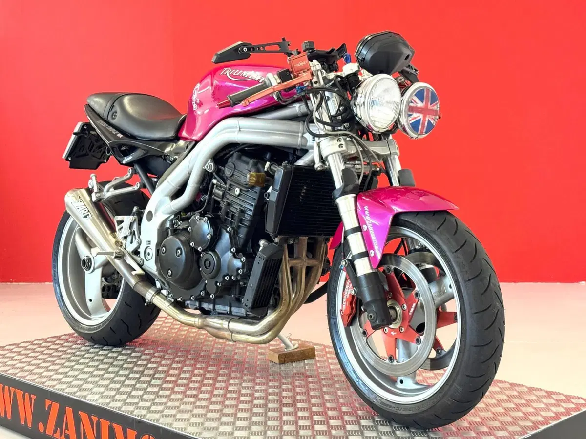 Triumph Speed Triple 955 (2002 - 04) (11)
