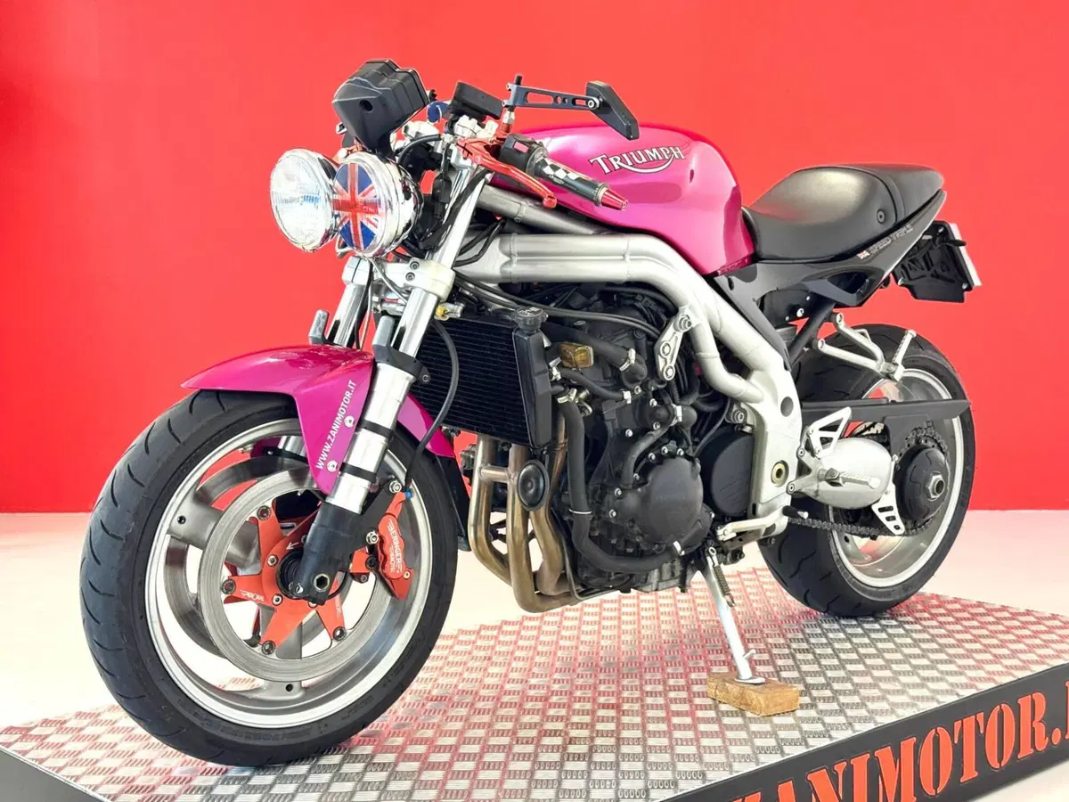 Triumph Speed Triple 955 (2002 - 04) (12)
