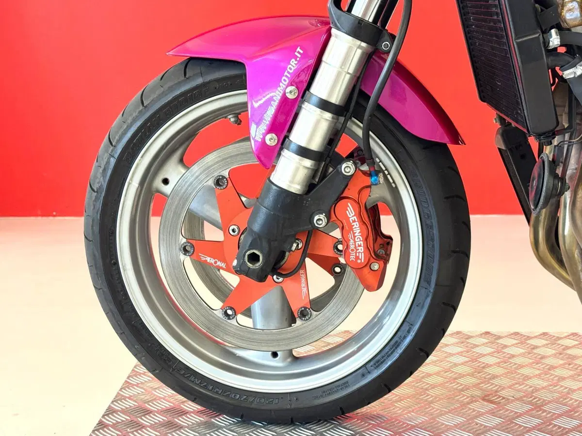Triumph Speed Triple 955 (2002 - 04) (13)