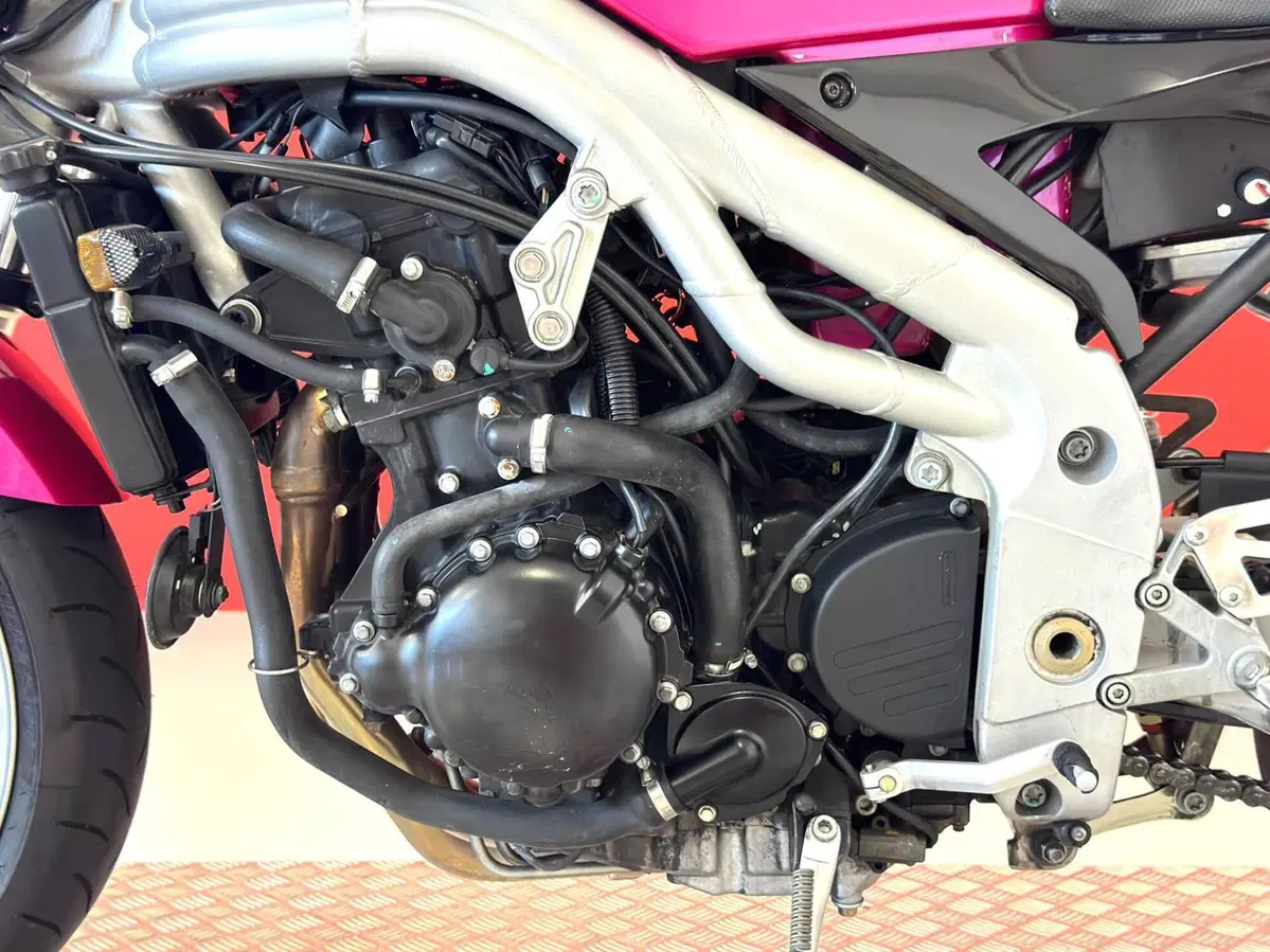 Triumph Speed Triple 955 (2002 - 04) (14)