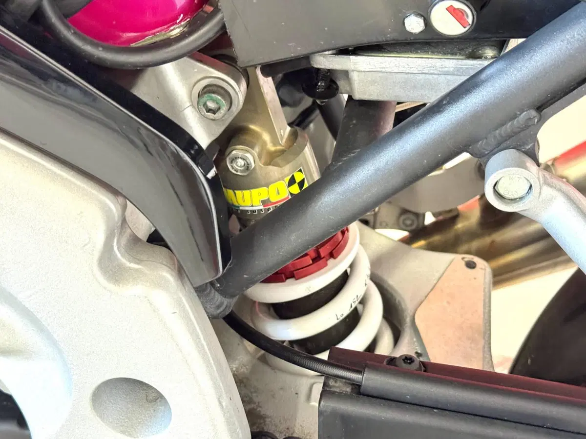 Triumph Speed Triple 955 (2002 - 04) (15)