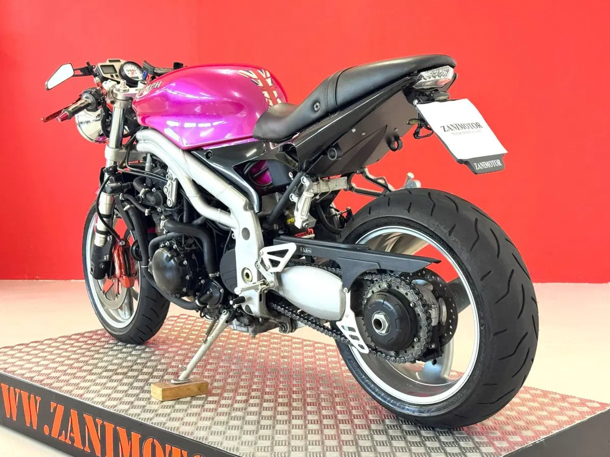 Triumph Speed Triple 955 (2002 - 04) (16)