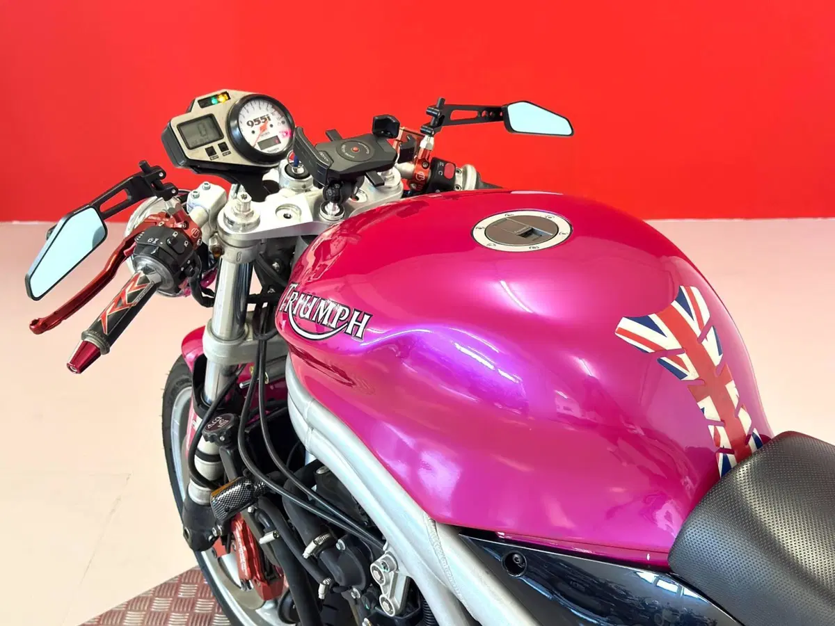Triumph Speed Triple 955 (2002 - 04) (17)
