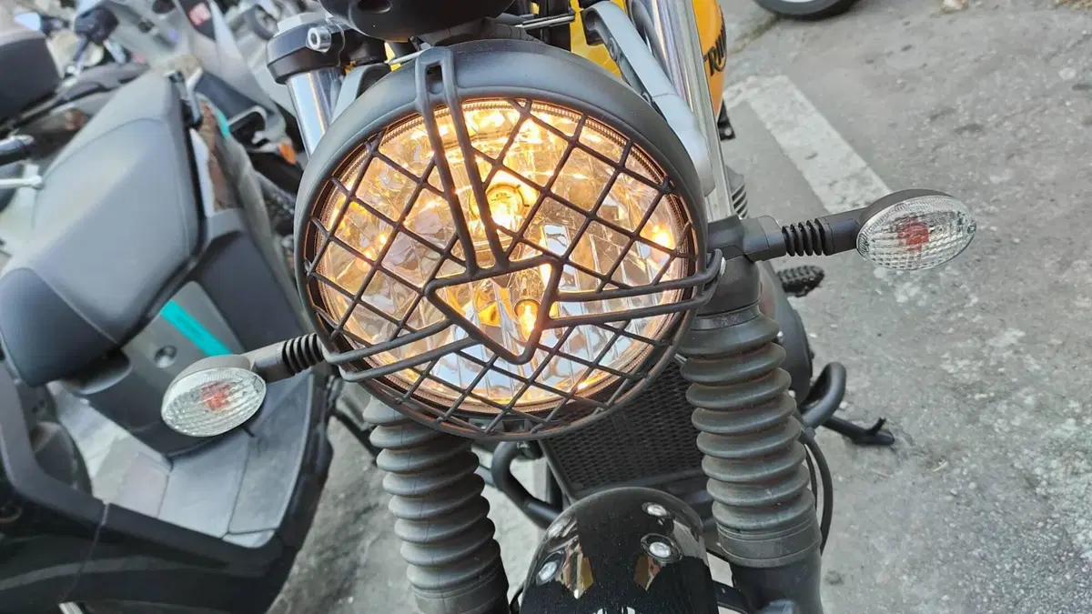Triumph Scrambler 900 (2023 - 25) (3)