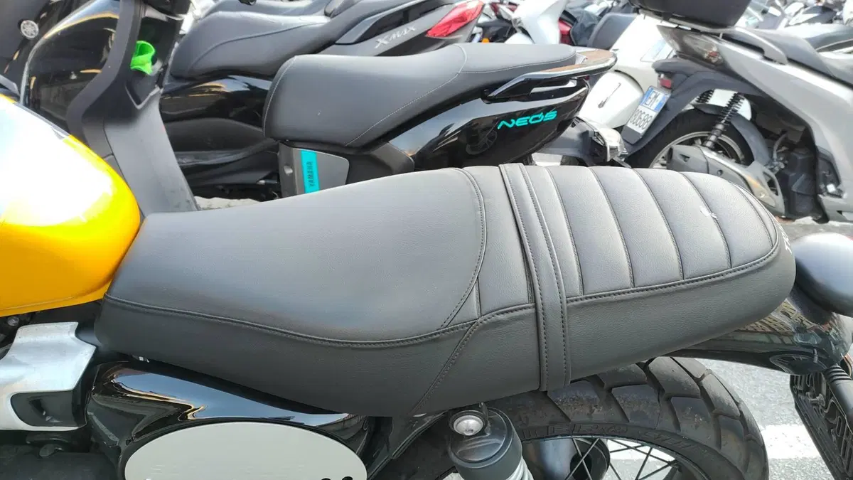 Triumph Scrambler 900 (2023 - 25) (4)