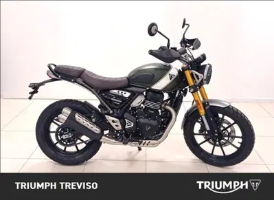 Triumph Scrambler 400 X (2024 - 26) usata