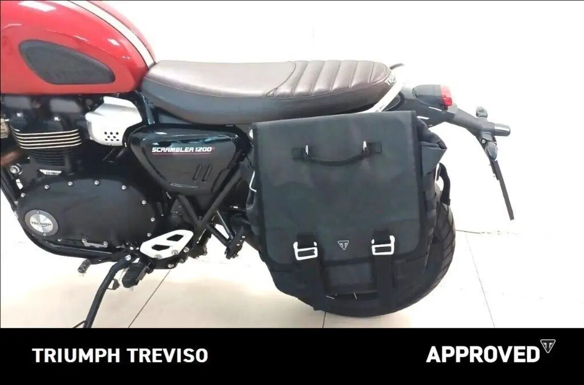 Triumph Scrambler 1200 X (2024 - 26) (5)