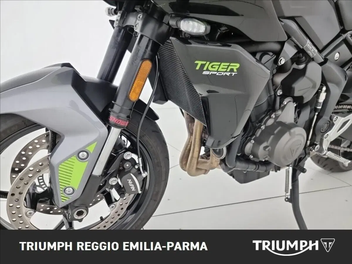 Triumph Tiger Sport 660 (2025) (22)
