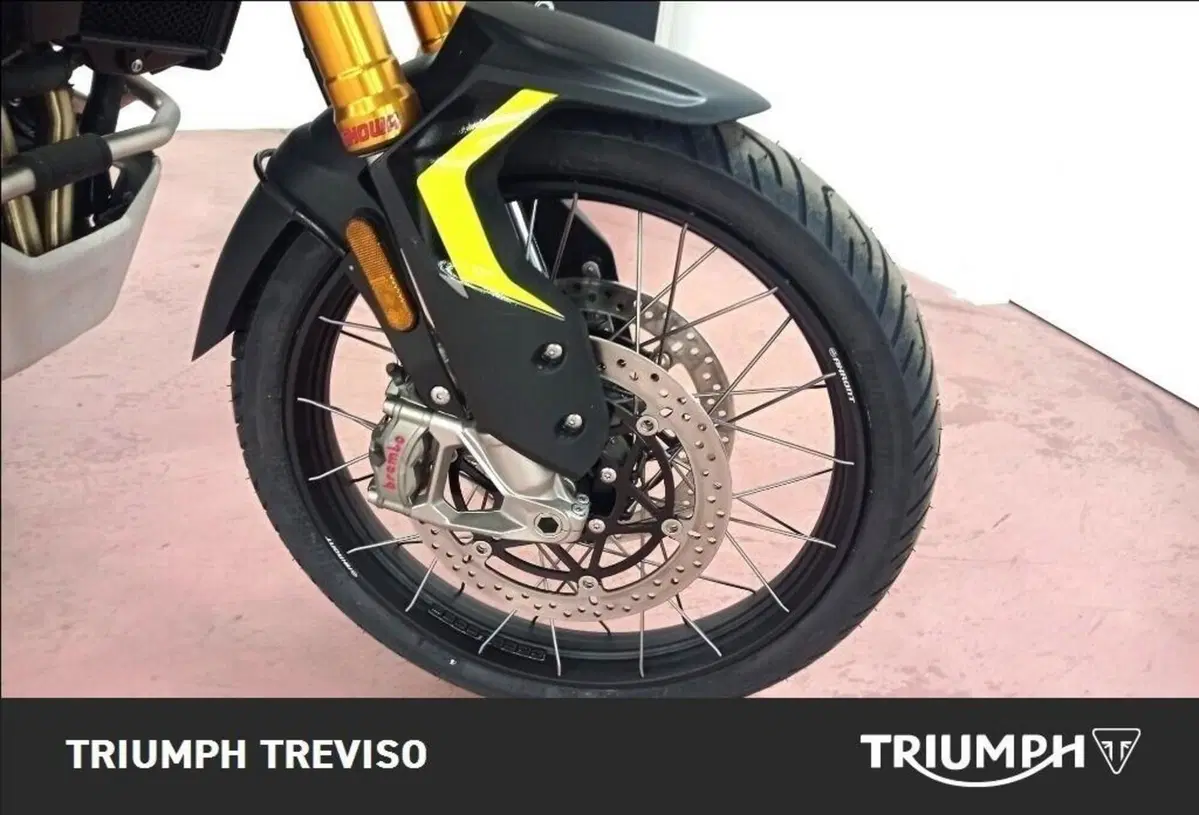 Triumph Tiger 900 Rally Pro (2024 - 26) (3)
