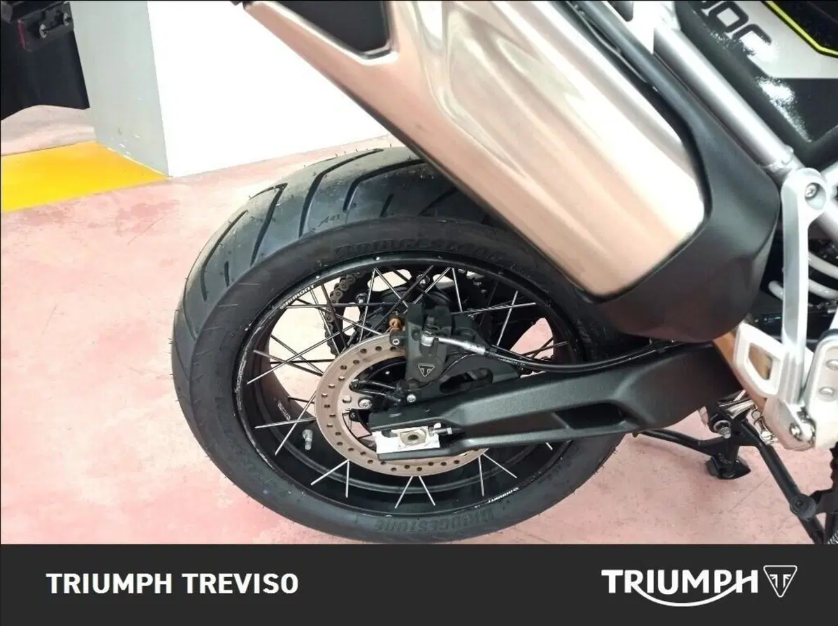 Triumph Tiger 900 Rally Pro (2024 - 26) (4)