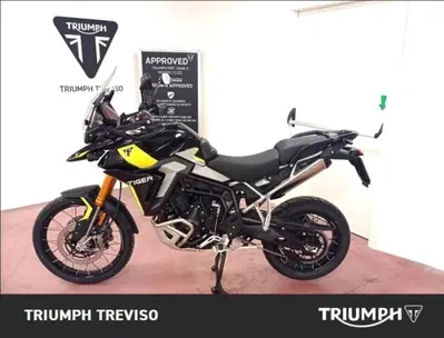 Triumph Tiger 900 Rally Pro (2024 - 26) usata
