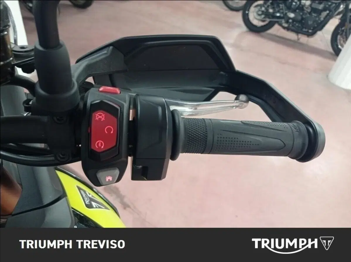 Triumph Tiger 900 Rally Pro (2024 - 26) (5)