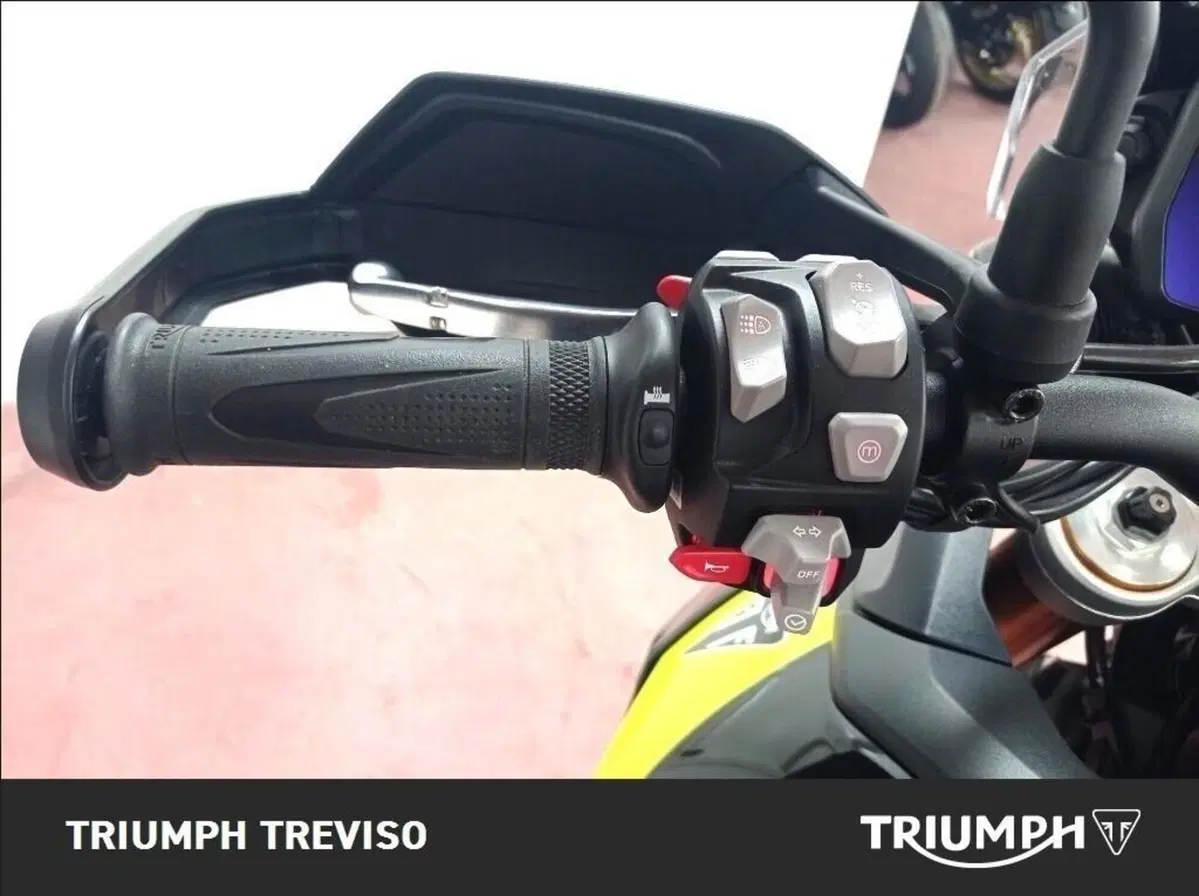 Triumph Tiger 900 Rally Pro (2024 - 26) (7)