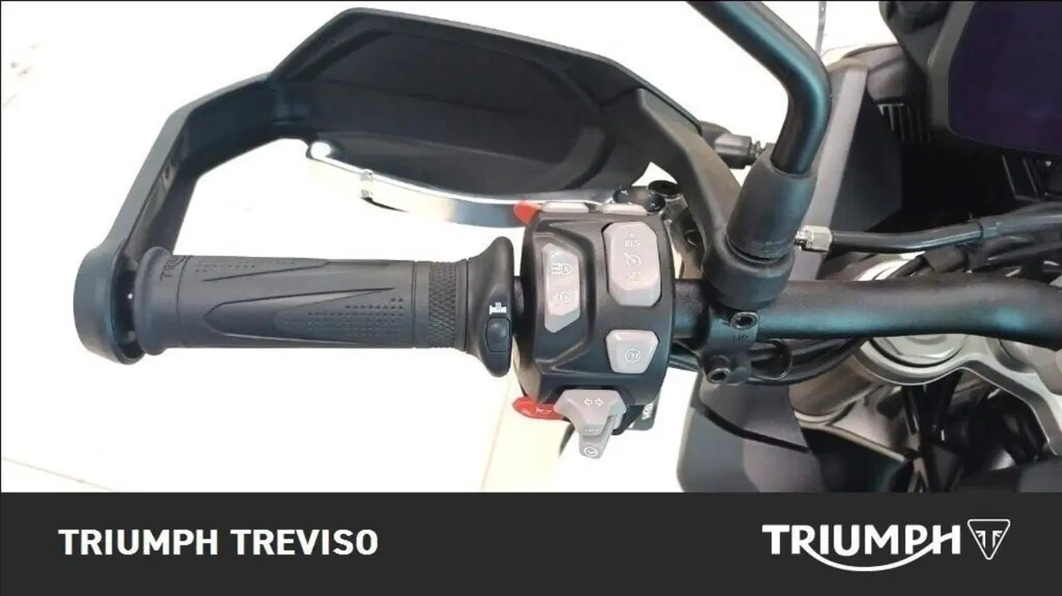 Triumph Tiger 900 Alpine Special Edition (2026) (4)