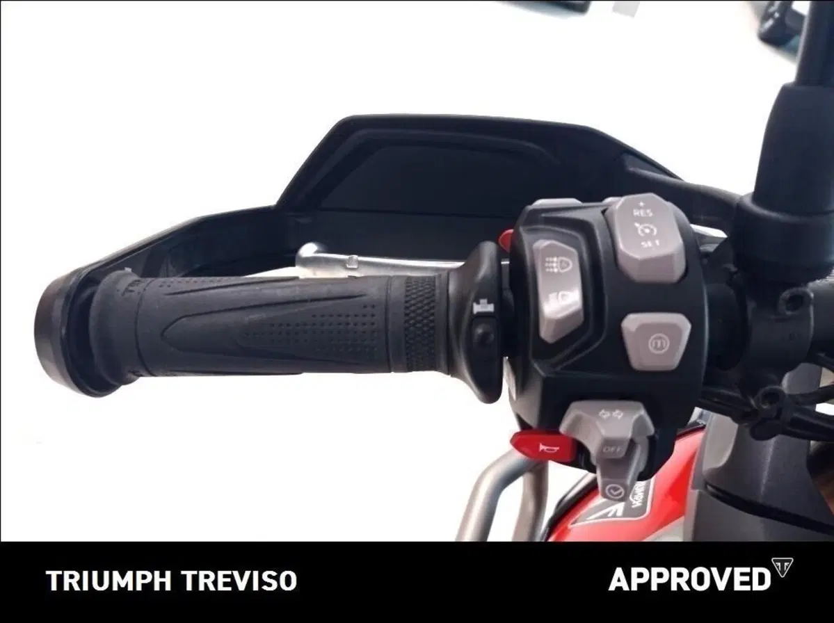 Triumph Tiger 900 Rally Pro (2024 - 26) (3)