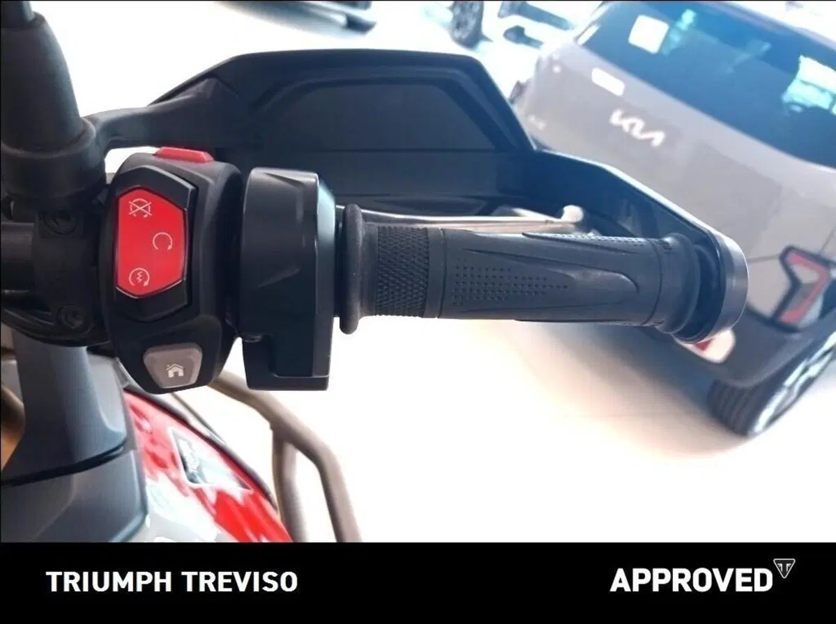 Triumph Tiger 900 Rally Pro (2024 - 26) (4)