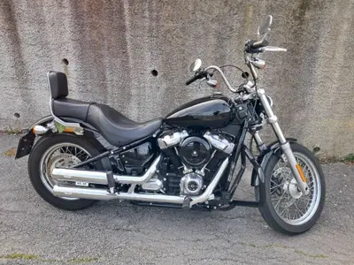 Harley-Davidson Softail Standard (2020) - FXST usata