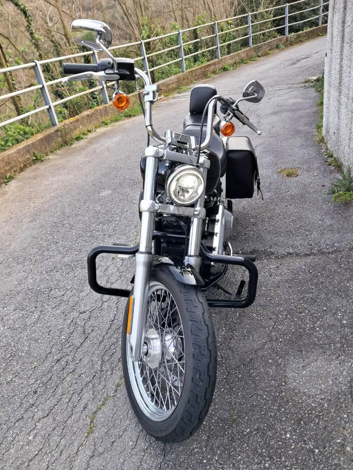 Harley-Davidson Softail Standard (2020) - FXST (2)