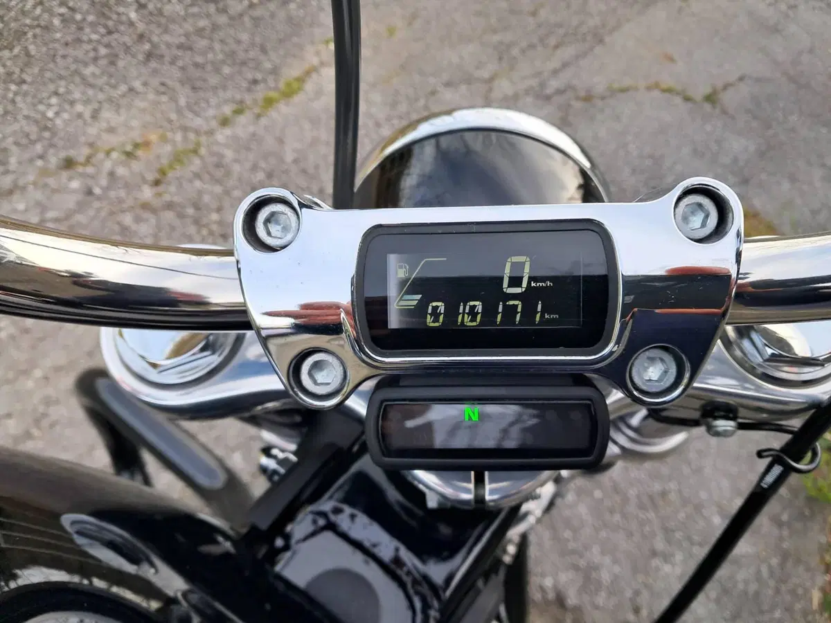 Harley-Davidson Softail Standard (2020) - FXST (3)