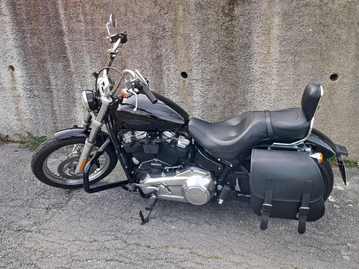 Harley-Davidson Softail Standard (2020) - FXST (4)